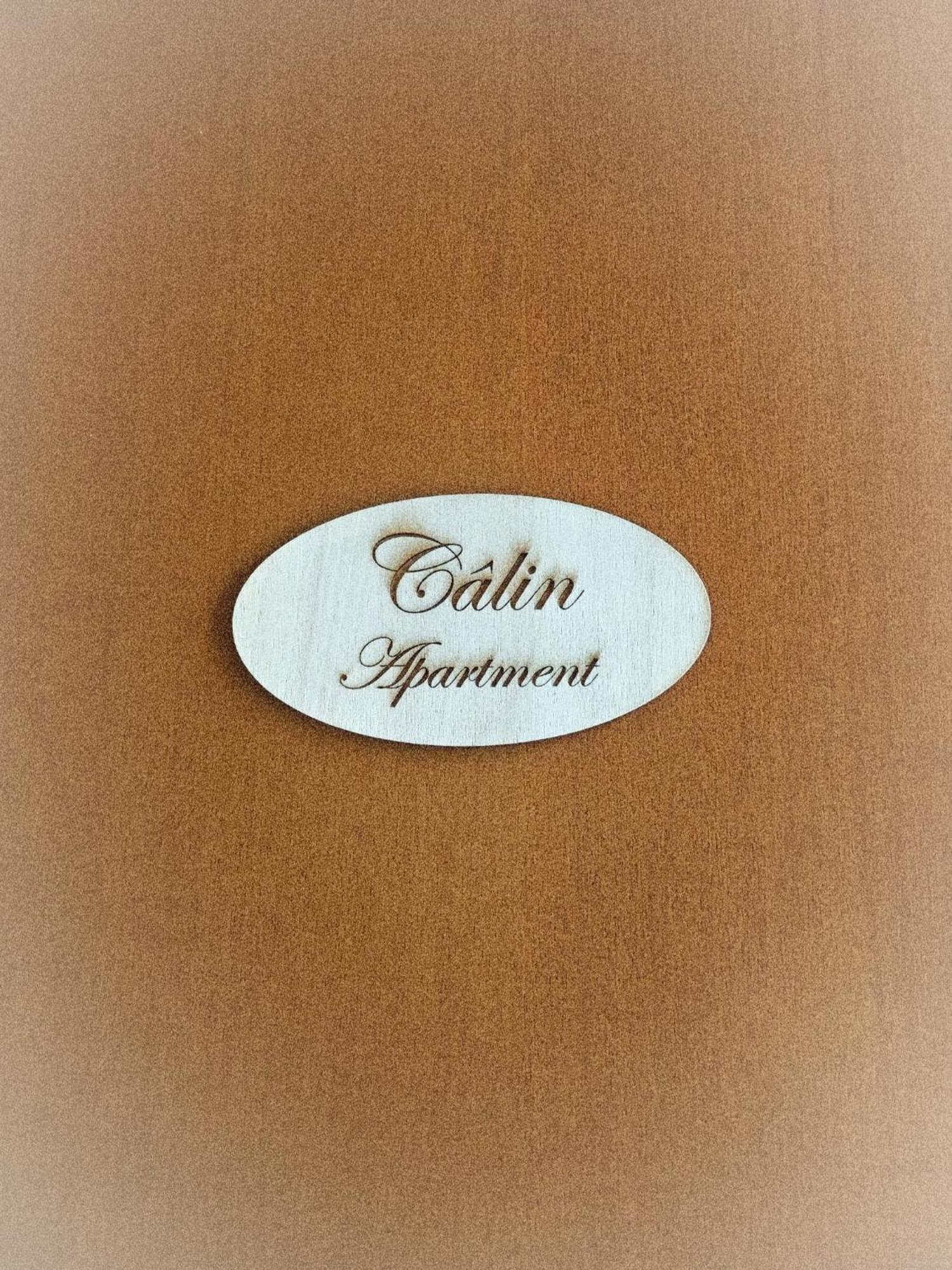 Calin Apartment Torino Dış mekan fotoğraf